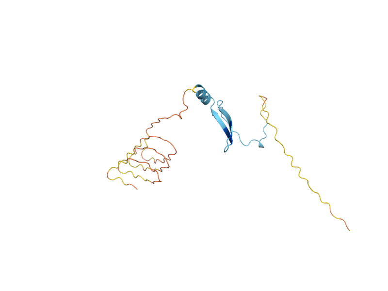 AlphaFold predicted structure of MF(ALPHA)1