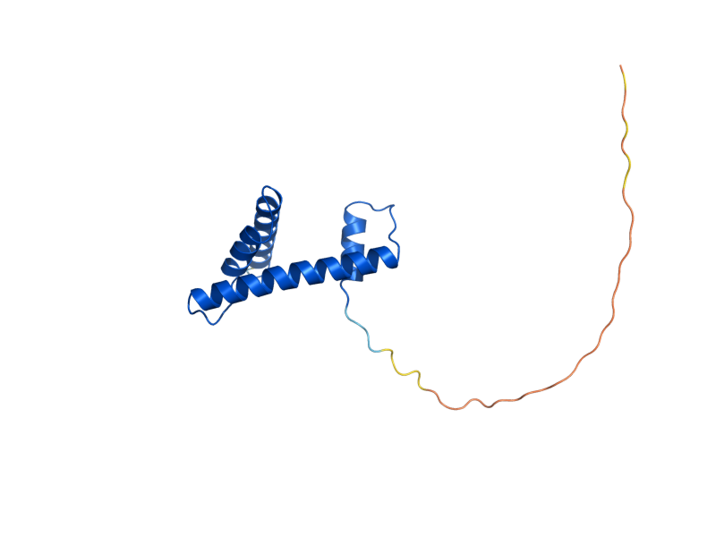 AlphaFold predicted structure of HTB2