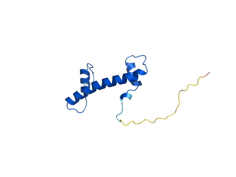 AlphaFold predicted structure of HHF1