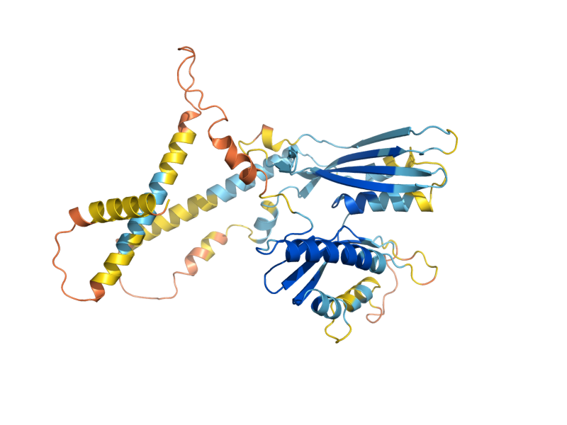 AlphaFold predicted structure of VAR1