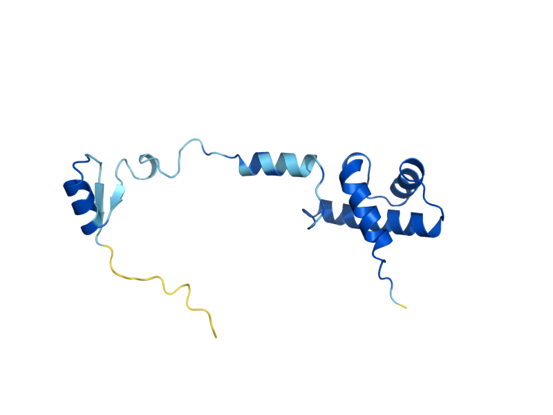 AlphaFold predicted structure of RPS17A
