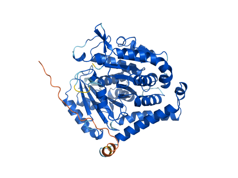 AlphaFold predicted structure of TUB2