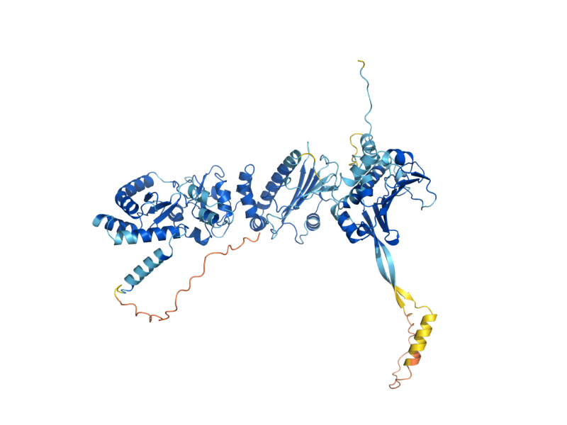 AlphaFold predicted structure of HSP82
