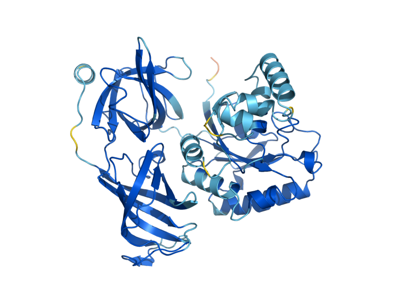 AlphaFold predicted structure of TEF2