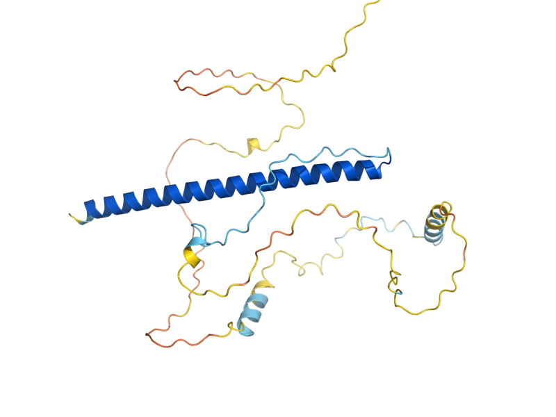 AlphaFold predicted structure of GCN4