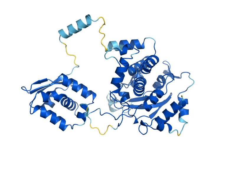 AlphaFold predicted structure of FLP1