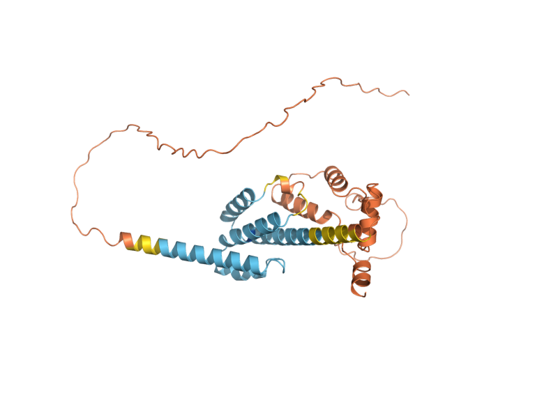 AlphaFold predicted structure of REP2