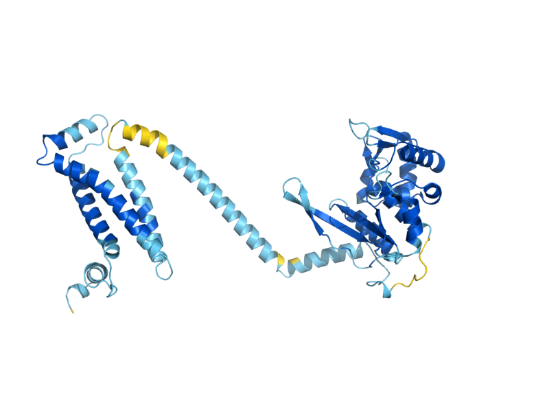 AlphaFold predicted structure of BI2