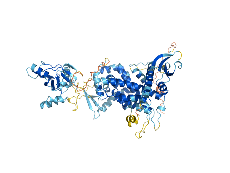 AlphaFold predicted structure of CBP2