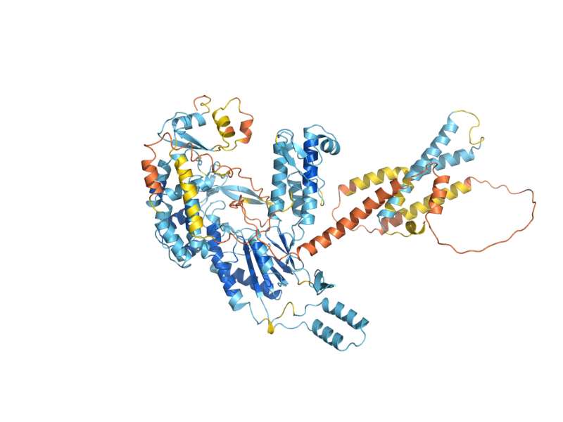 AlphaFold predicted structure of AI2