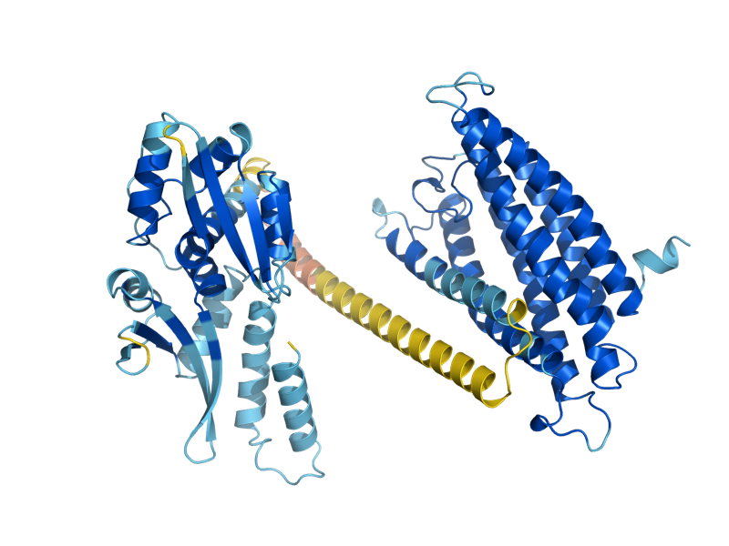 AlphaFold predicted structure of AI4