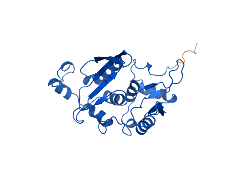 AlphaFold predicted structure of SCEI