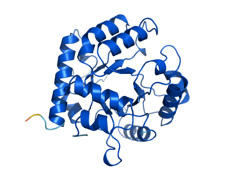 AlphaFold predicted structure of URA3