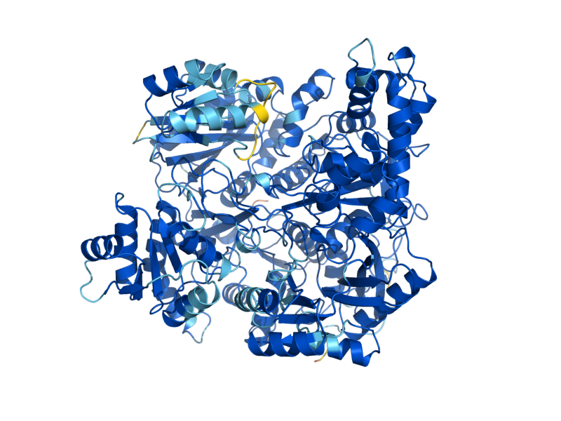 AlphaFold predicted structure of CPA2
