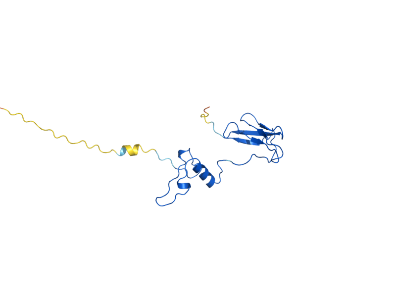 AlphaFold predicted structure of COX4