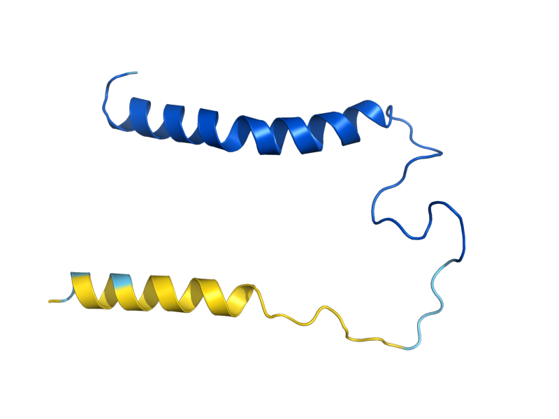 AlphaFold predicted structure of COX8