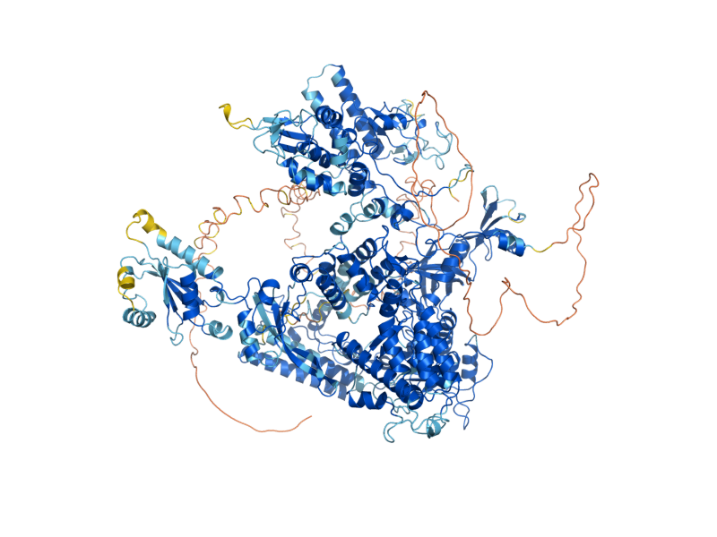 AlphaFold predicted structure of RPO21
