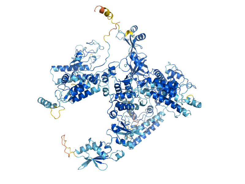 AlphaFold predicted structure of RPO31