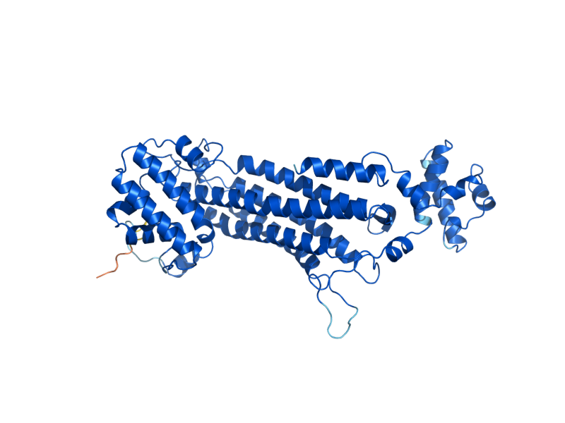 AlphaFold predicted structure of ARG4