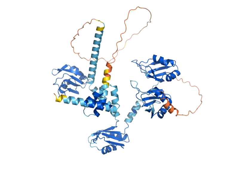 AlphaFold predicted structure of PAB1