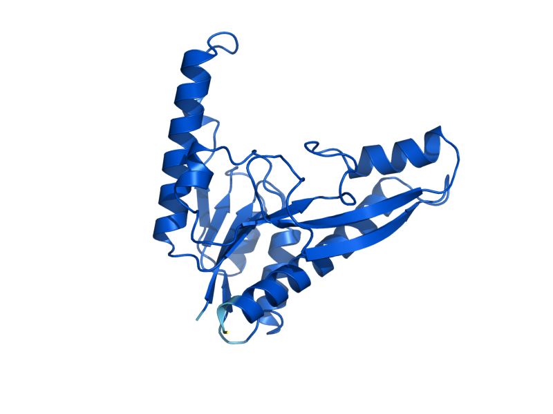 AlphaFold predicted structure of ADE8