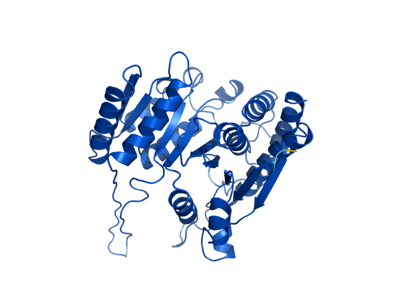 AlphaFold predicted structure of LEU2