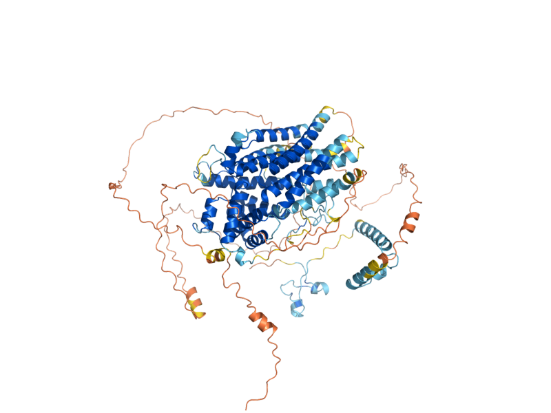 AlphaFold predicted structure of GAL4