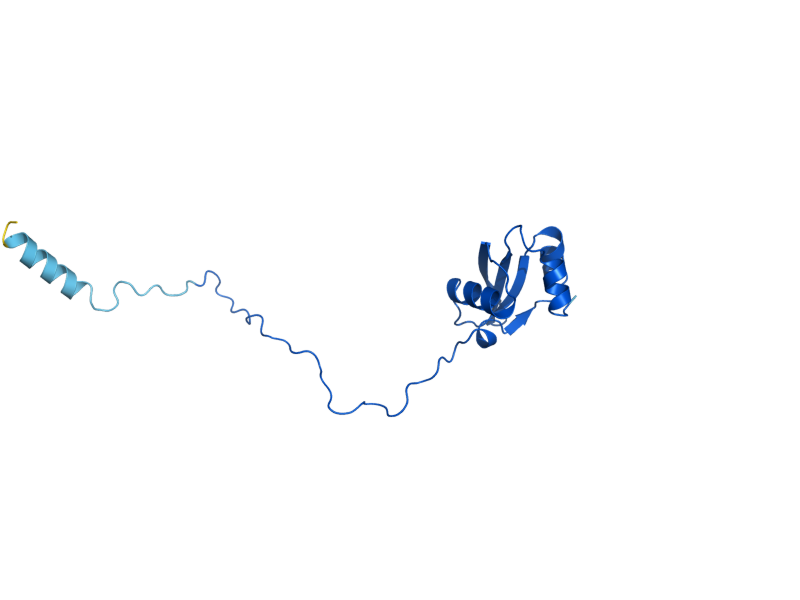 AlphaFold predicted structure of RPL25