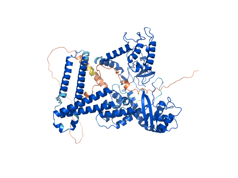 AlphaFold predicted structure of TOP1