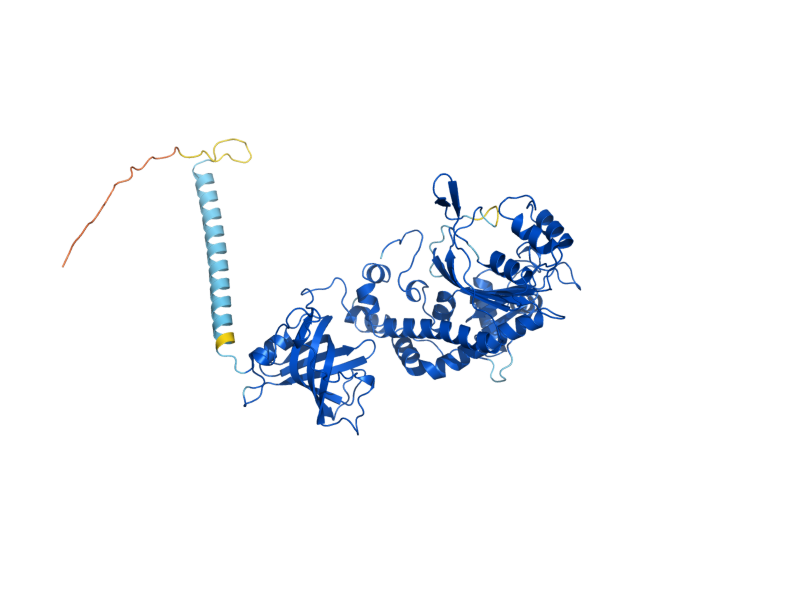 AlphaFold predicted structure of DPS1