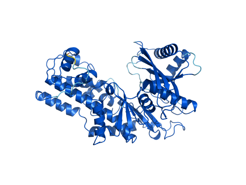 AlphaFold predicted structure of HXK1