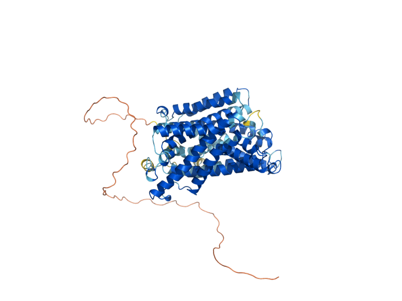 AlphaFold predicted structure of CAN1