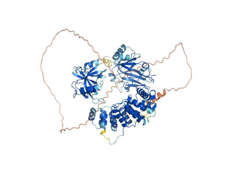 AlphaFold predicted structure of CDC9