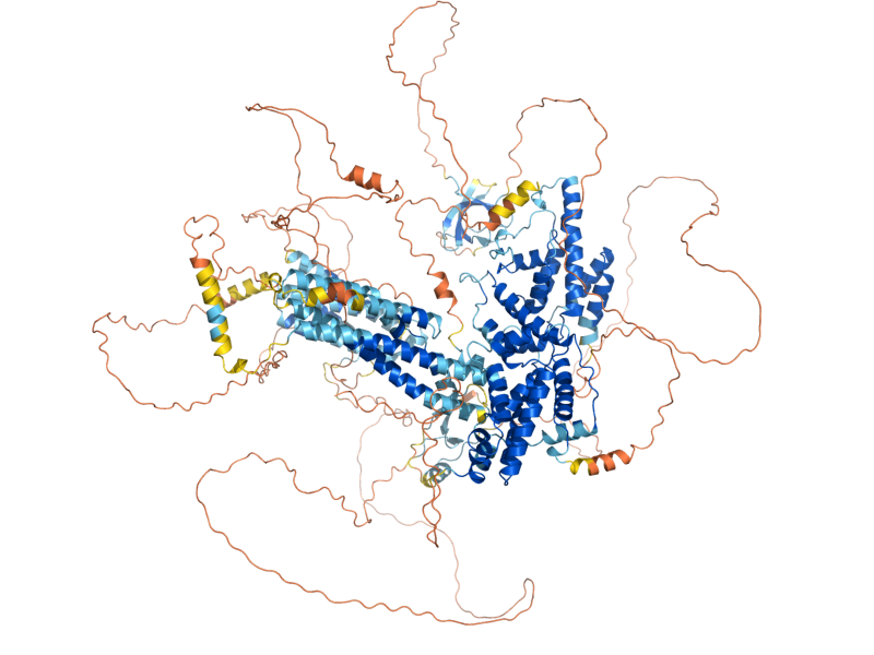 AlphaFold predicted structure of CDC25