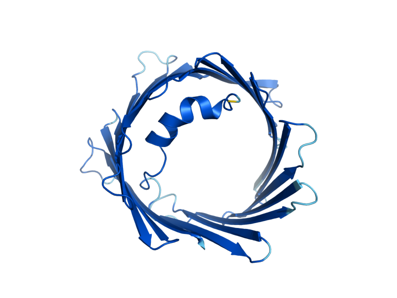 AlphaFold predicted structure of POR1