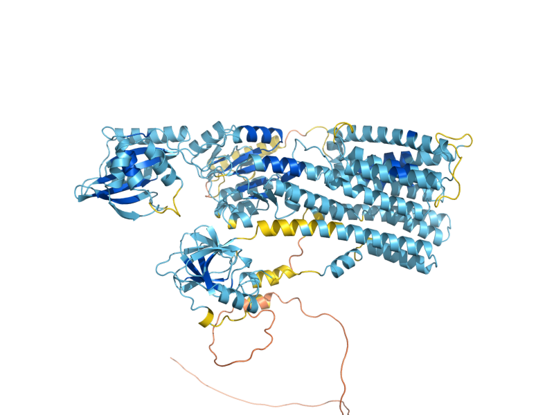 AlphaFold predicted structure of PMA1