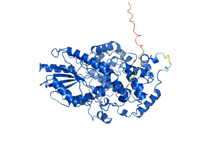 AlphaFold predicted structure of PHR1