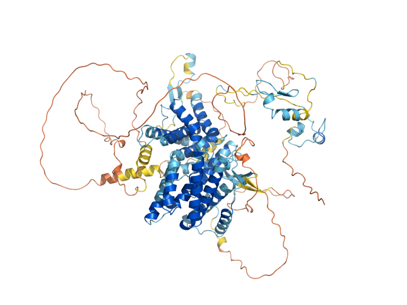 AlphaFold predicted structure of ARG81