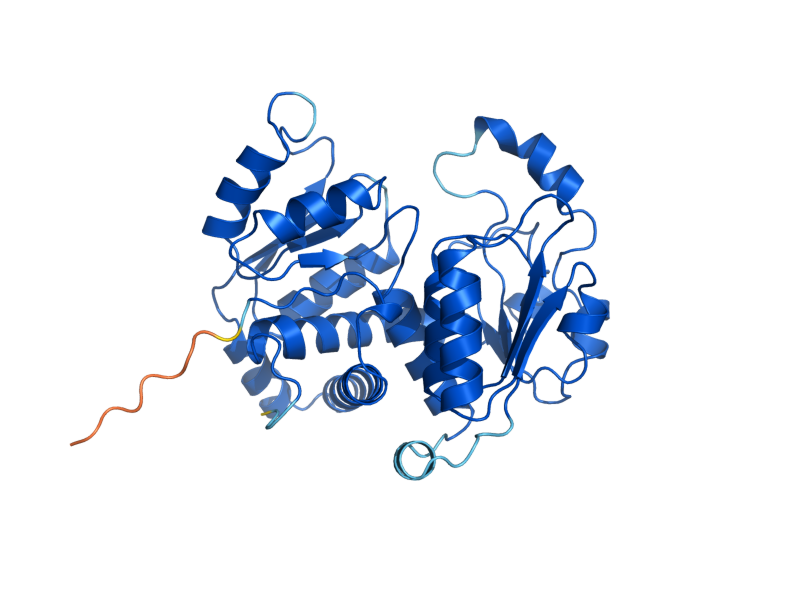 AlphaFold predicted structure of ARG3