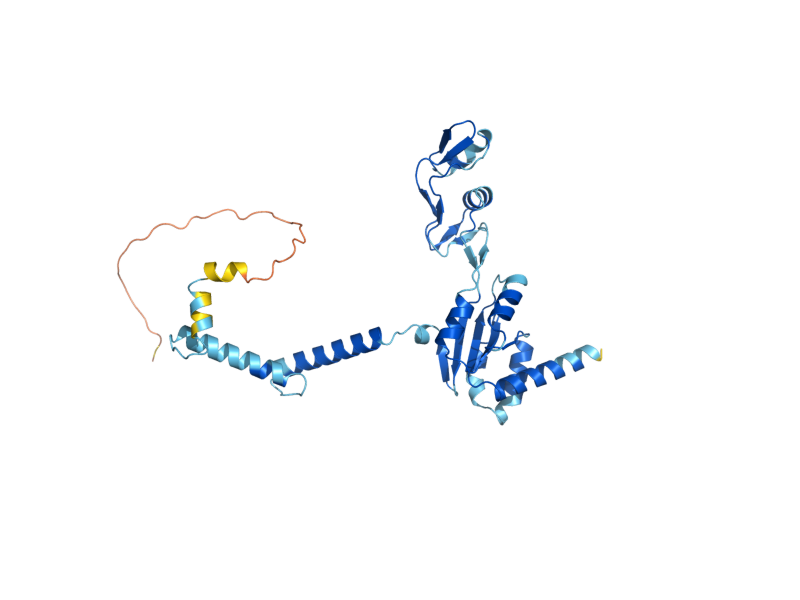 AlphaFold predicted structure of RPP0