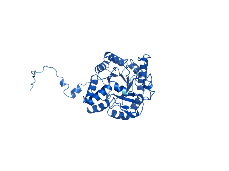 AlphaFold predicted structure of HEM2