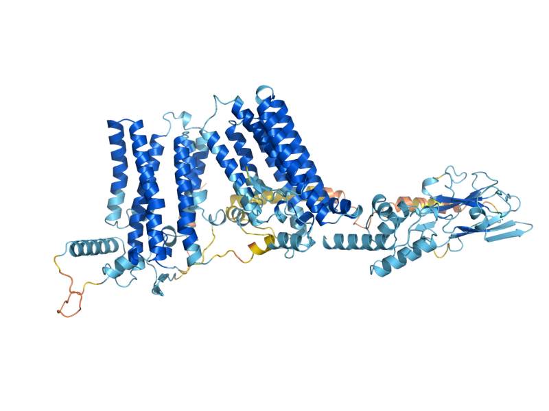 AlphaFold predicted structure of CHO2