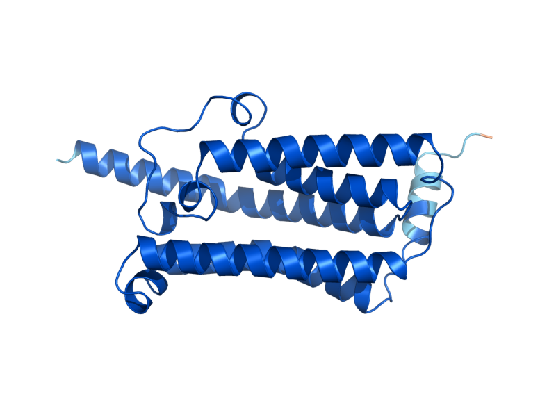AlphaFold predicted structure of OPI3