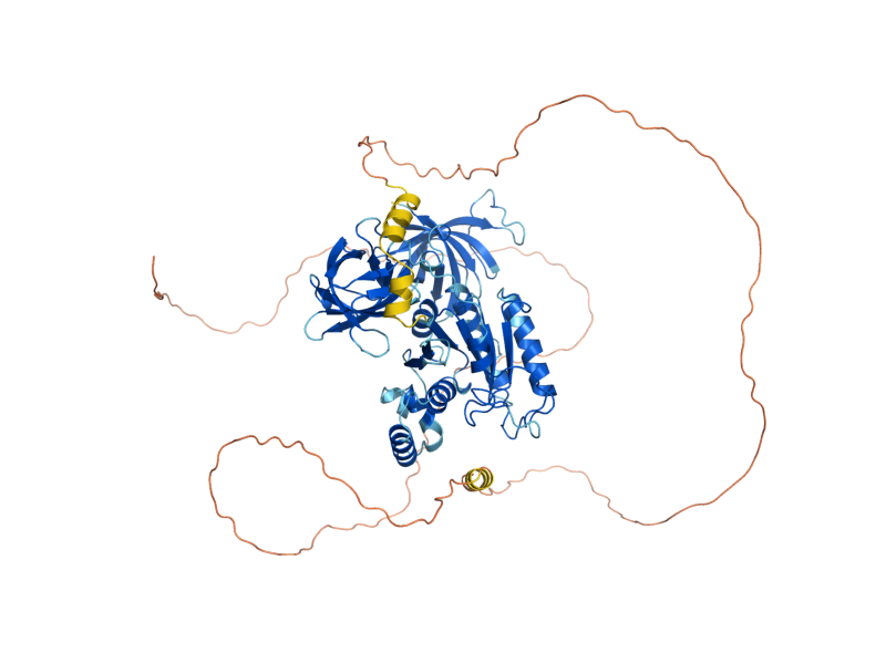 AlphaFold predicted structure of SUP35