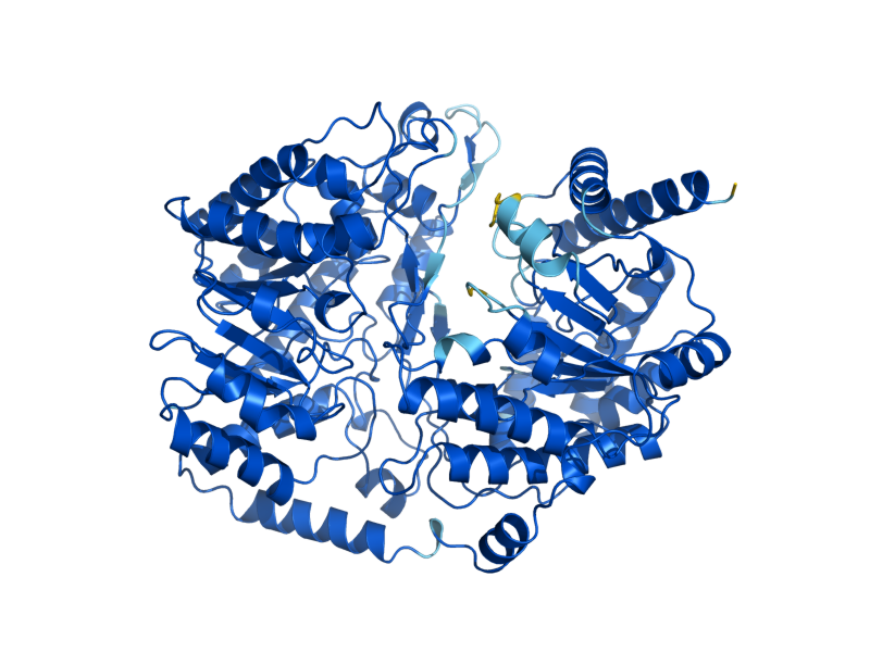 AlphaFold predicted structure of MET6