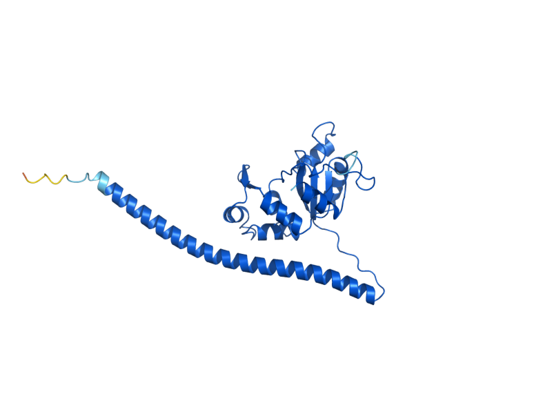 AlphaFold predicted structure of RPL7A