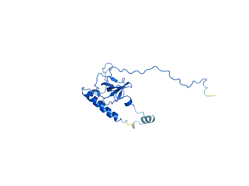 AlphaFold predicted structure of RPL6B