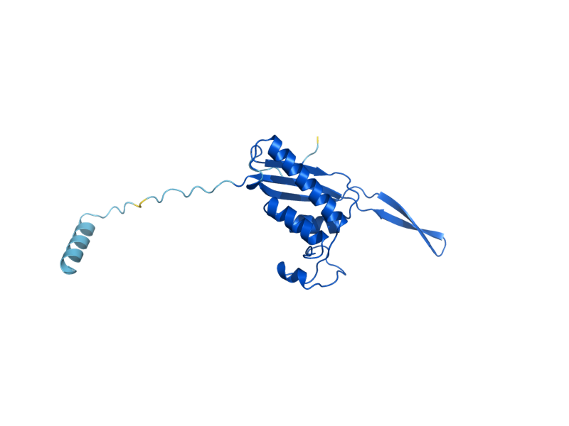 AlphaFold predicted structure of RPL17A