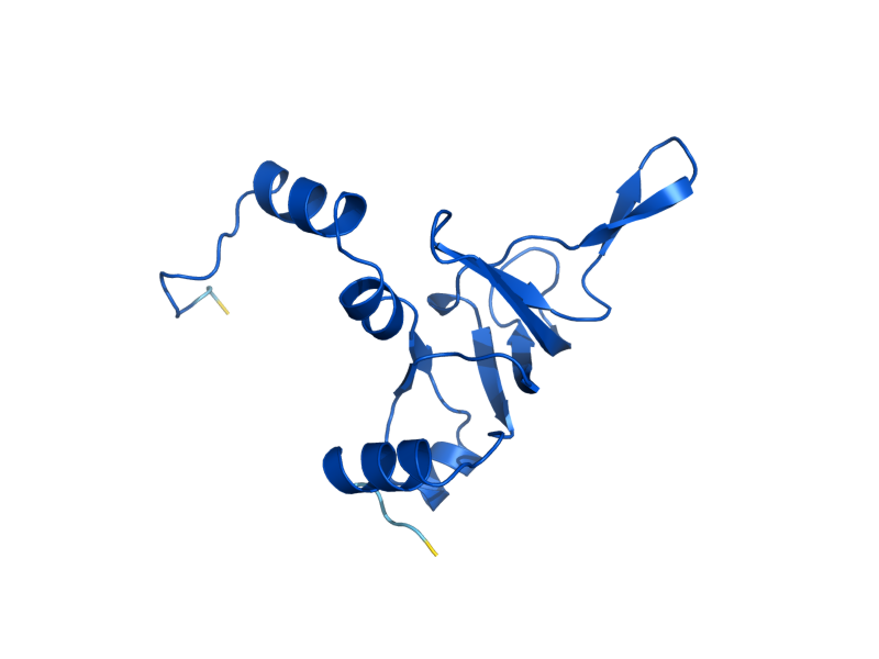 AlphaFold predicted structure of RPL26A