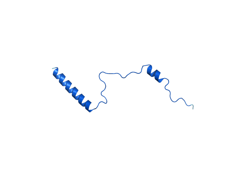 AlphaFold predicted structure of RPL29